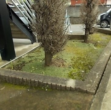 レオパレスメローネVIの物件内観写真