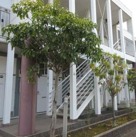 レオパレスフレンズの物件内観写真