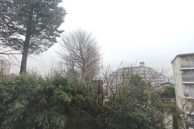 ＨＦ若林公園レジデンスの物件内観写真