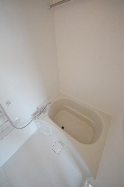 ニシオギソウの物件内観写真