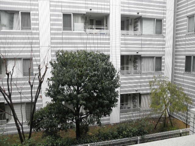 カスタリア三宿の物件内観写真