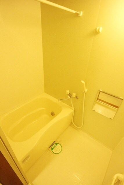 Ｃａｓａ　Ｍａｒｒｏｎｅの物件内観写真