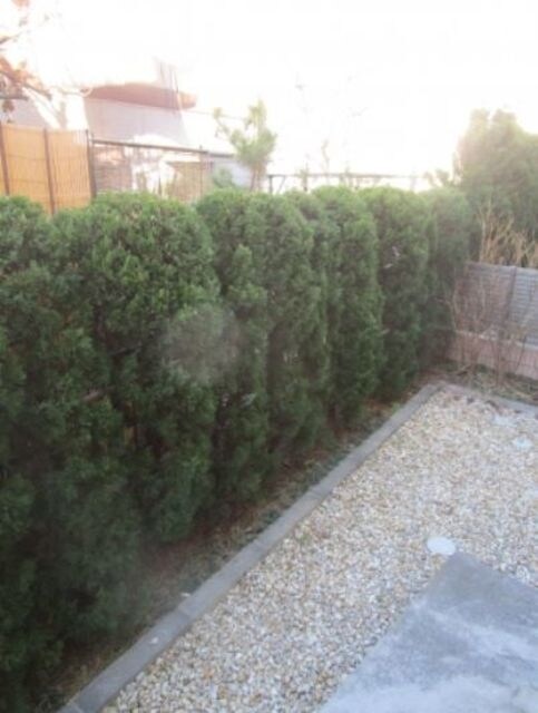 ガーデンハウス Cの物件内観写真