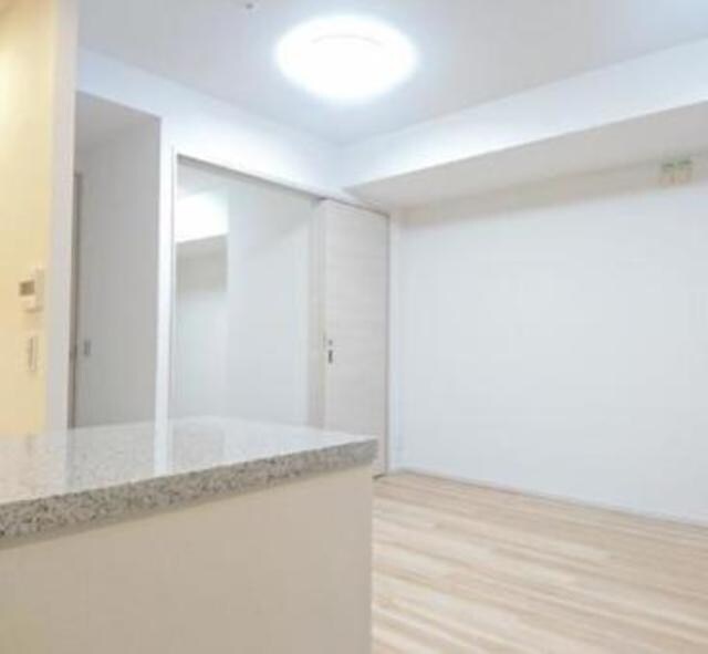 ザ・パークハウス西新宿タワー60の物件内観写真