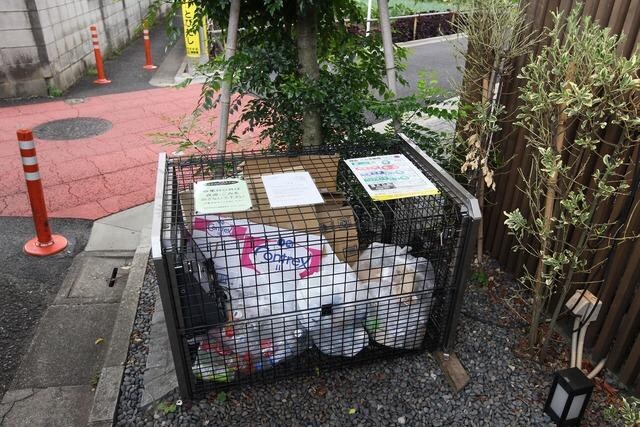 グランエッグス桜新町Ｎの物件内観写真