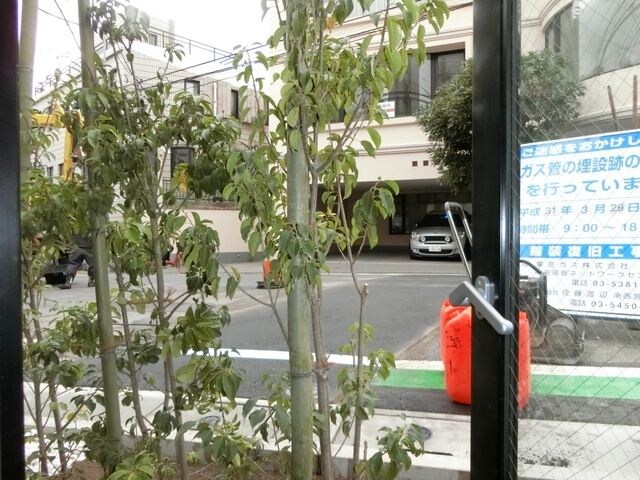 リーガランド中目黒の物件内観写真