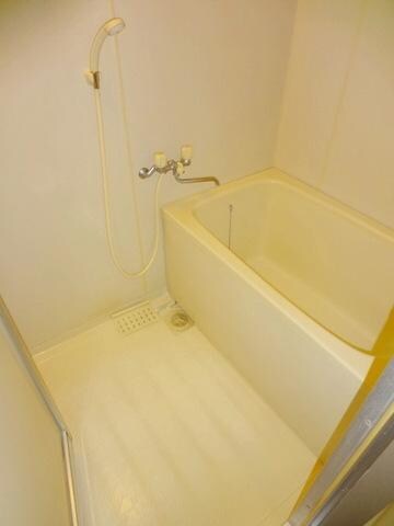 カサ・デ・センテレオの物件内観写真