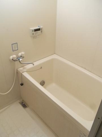 ブエナ　ヴィスタの物件内観写真