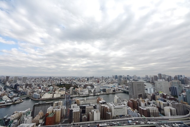 トルナーレ日本橋浜町の物件内観写真