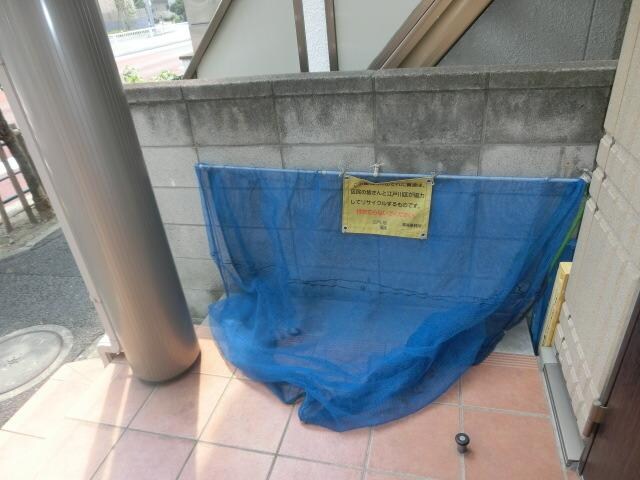 カーサ・コモドの物件内観写真