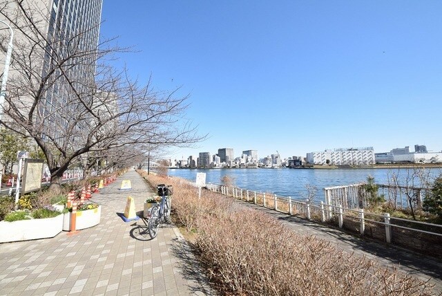 リバーシティ21新川の物件内観写真