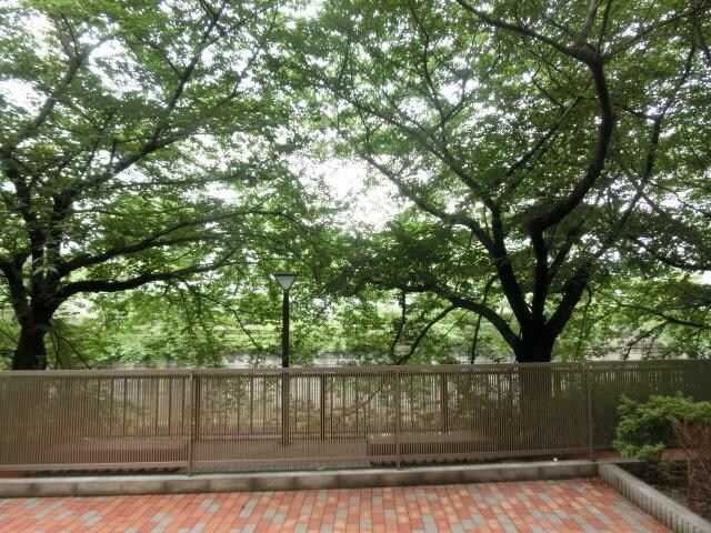 カスタリア目黒の物件内観写真