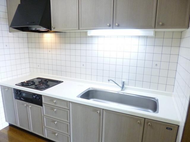 アステリオン松濤の物件内観写真