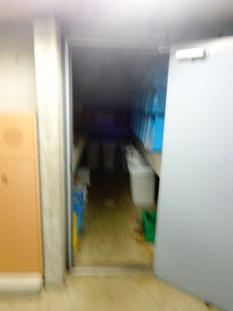 スカイコート月島の物件内観写真