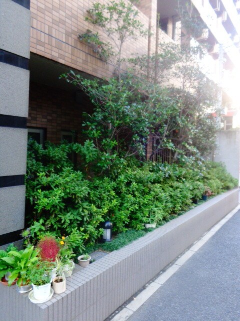 スカイコート月島の物件内観写真