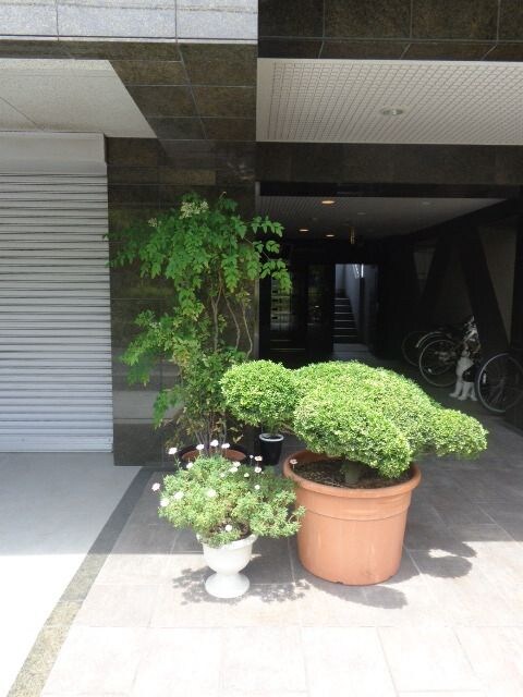 トランスパレントの物件内観写真