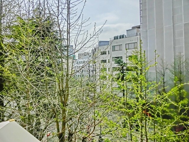 コンフォリア日本橋人形町ノースの物件内観写真