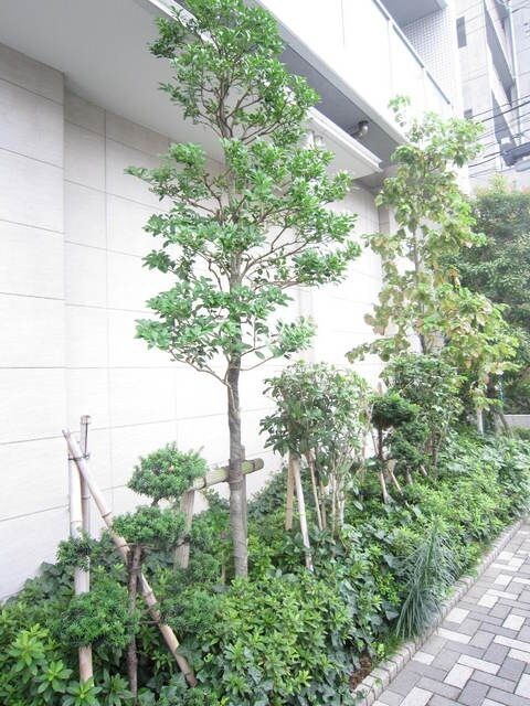 KDXレジデンス大島の物件内観写真