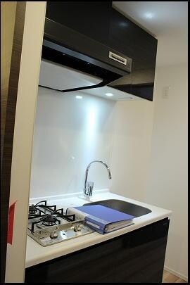 ハーモニーレジデンス錦糸町♯002の物件内観写真