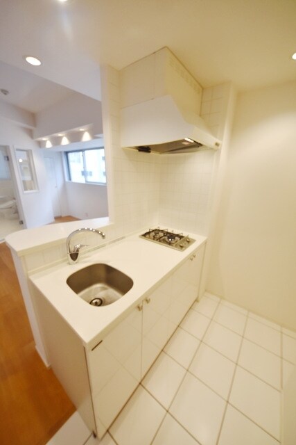 カスタリア銀座の物件内観写真