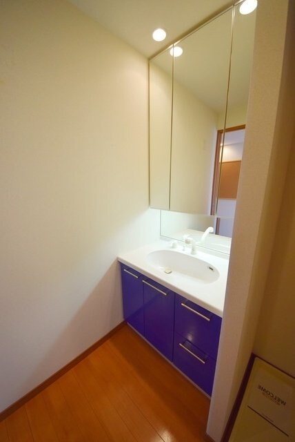 ロイヤルパークス新田の物件内観写真