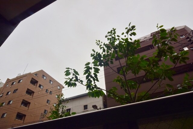 フォンターナ入谷の物件内観写真