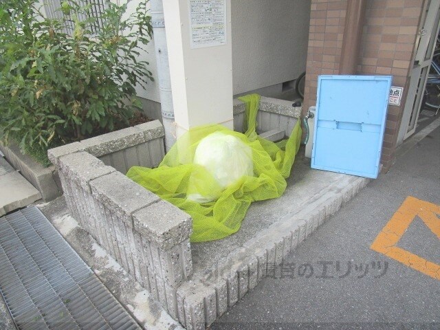 フレアコートの物件内観写真