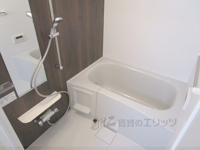 パインルーツIIIの物件内観写真