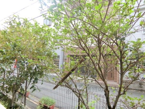 ヴィラさくらの物件内観写真