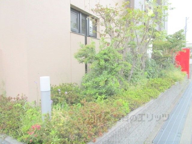 カーザ・エスペランサの物件内観写真