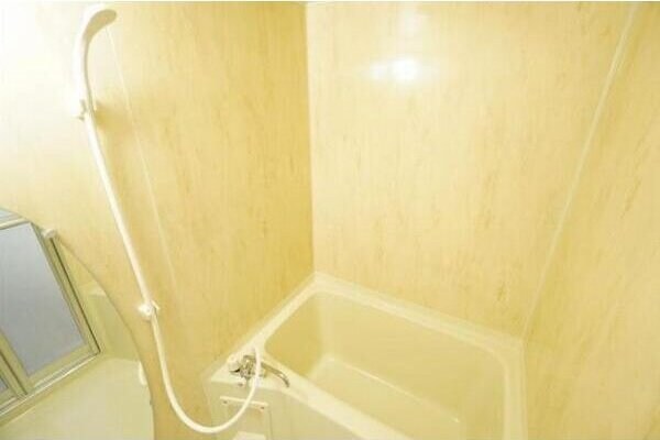 LaDouceur江坂の物件内観写真