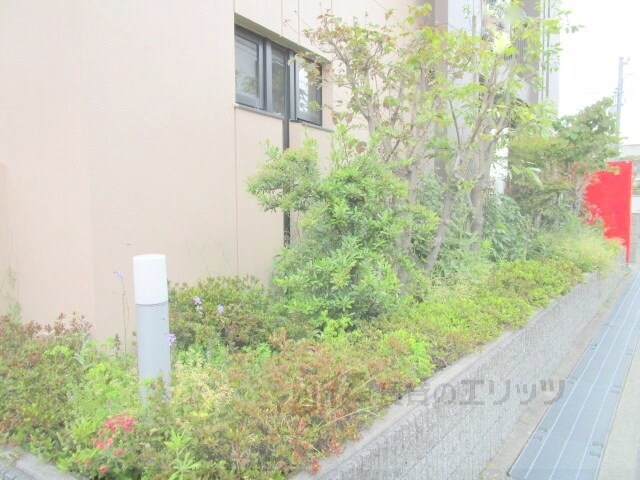 カーザ・エスペランサの物件内観写真