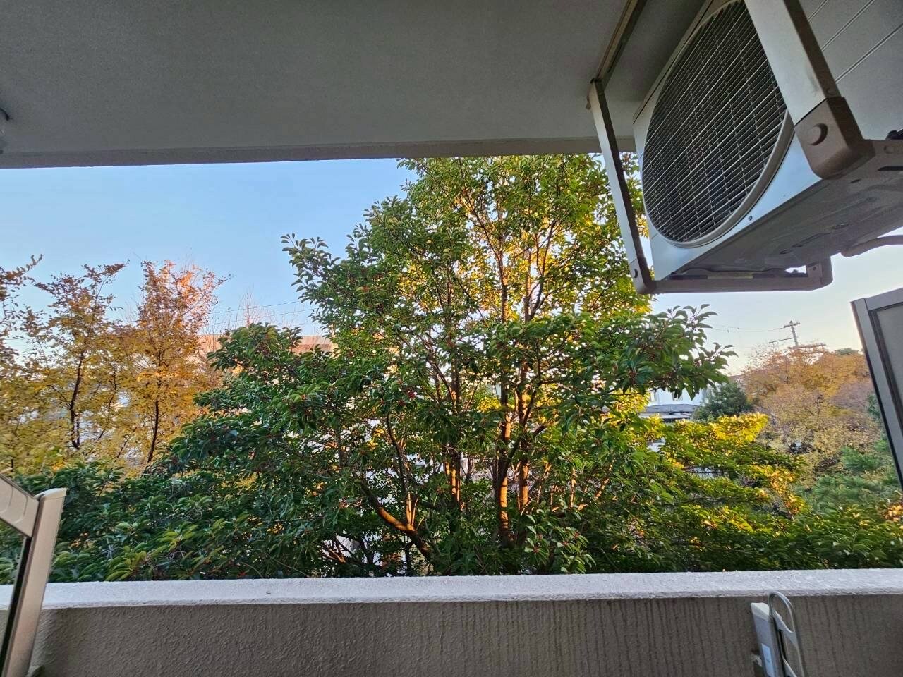 ラ・エスポワールの物件内観写真