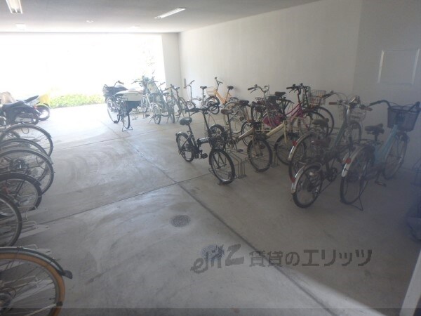 カンナビーノの物件内観写真