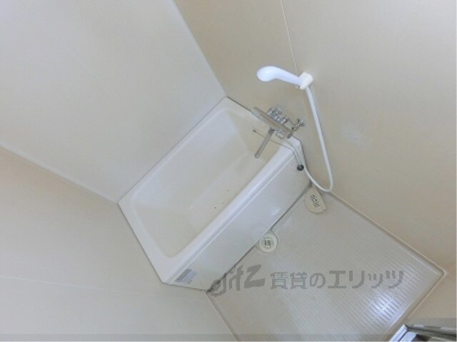 パステル新堂の物件内観写真