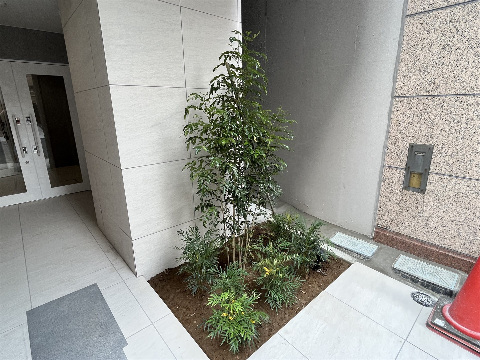 ラティアス京橋（Latias京橋）の物件内観写真