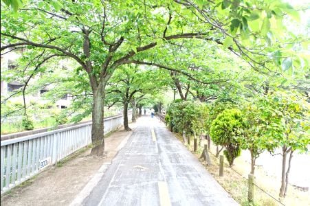 カインドネス南砂町の物件内観写真