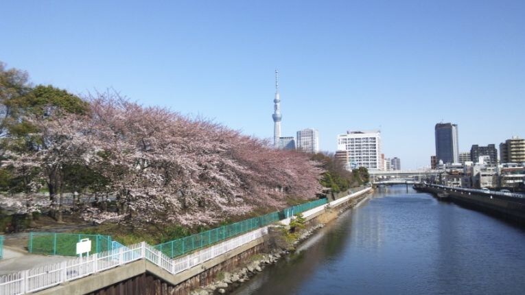 アクサスイアース西大島の物件内観写真