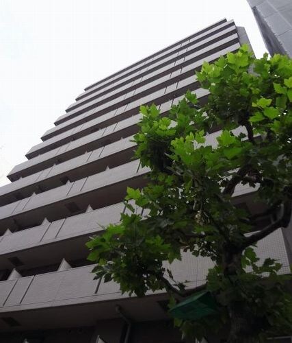 スカイコート日本橋浜町の物件内観写真