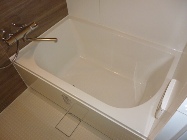 ルミレイス豊洲の物件内観写真