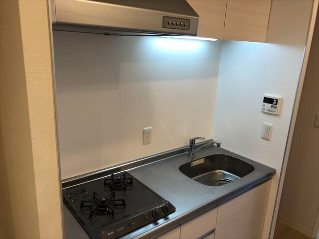 ルミレイス豊洲の物件内観写真