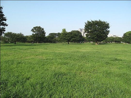 エストフルーヴの物件内観写真