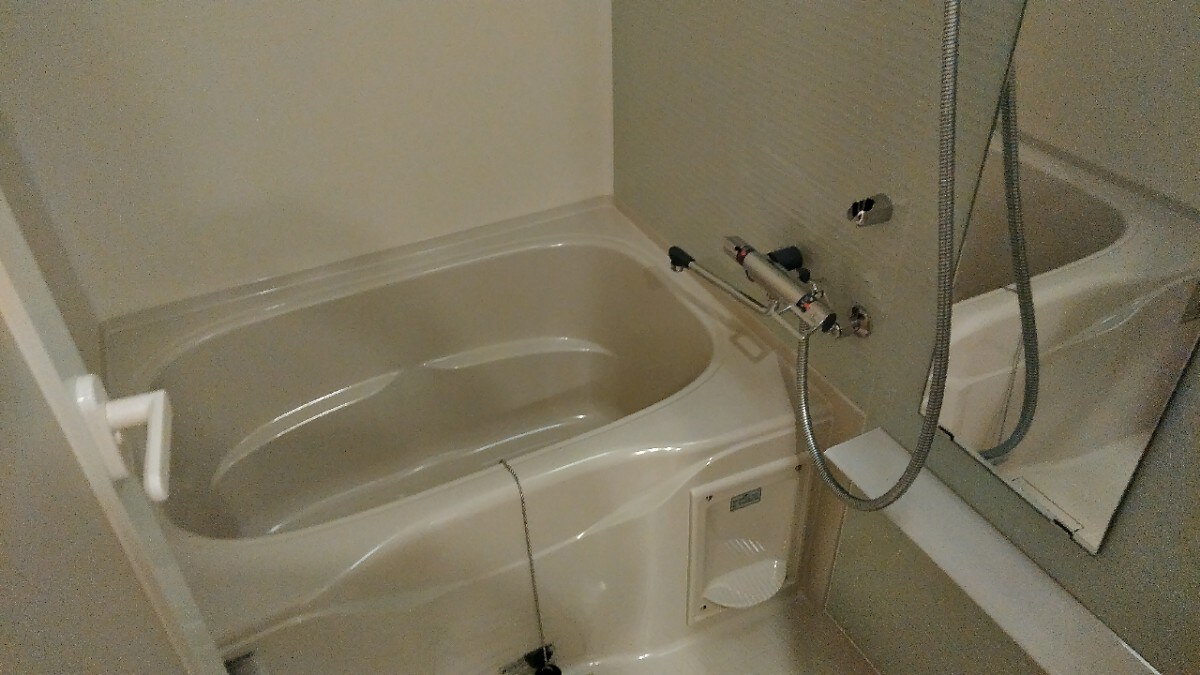 エスレジデンス錦糸町パークサイドの物件内観写真