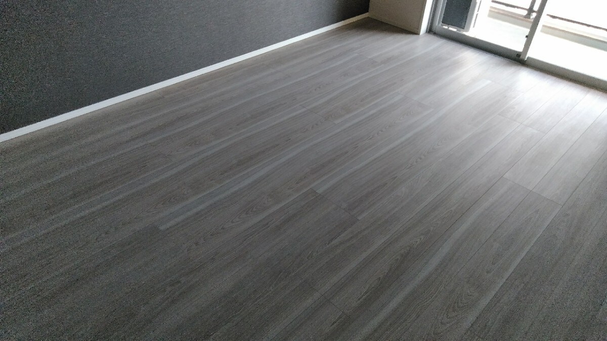 エスレジデンス錦糸町パークサイドの物件内観写真