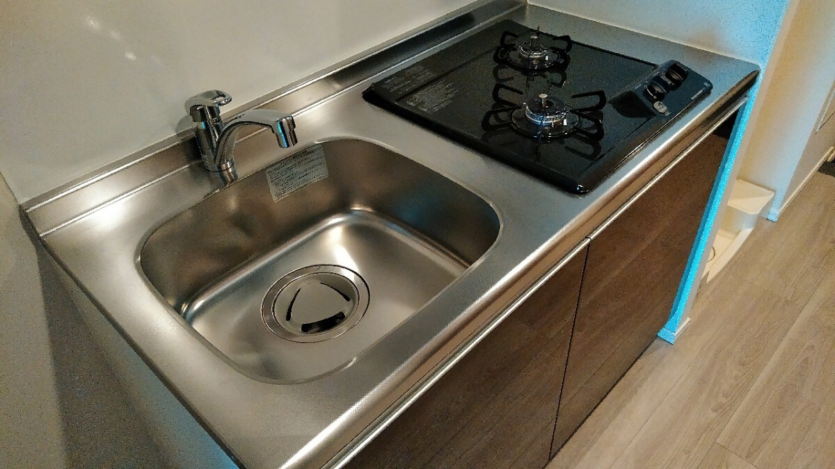 エスレジデンス錦糸町パークサイドの物件内観写真