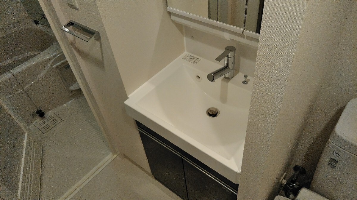 エスレジデンス錦糸町パークサイドの物件内観写真