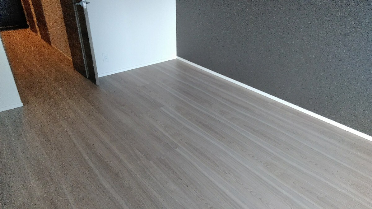 エスレジデンス錦糸町パークサイドの物件内観写真