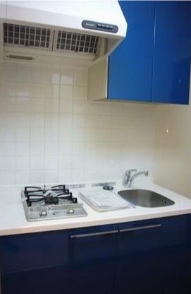 ドゥーエ西大島IIの物件内観写真