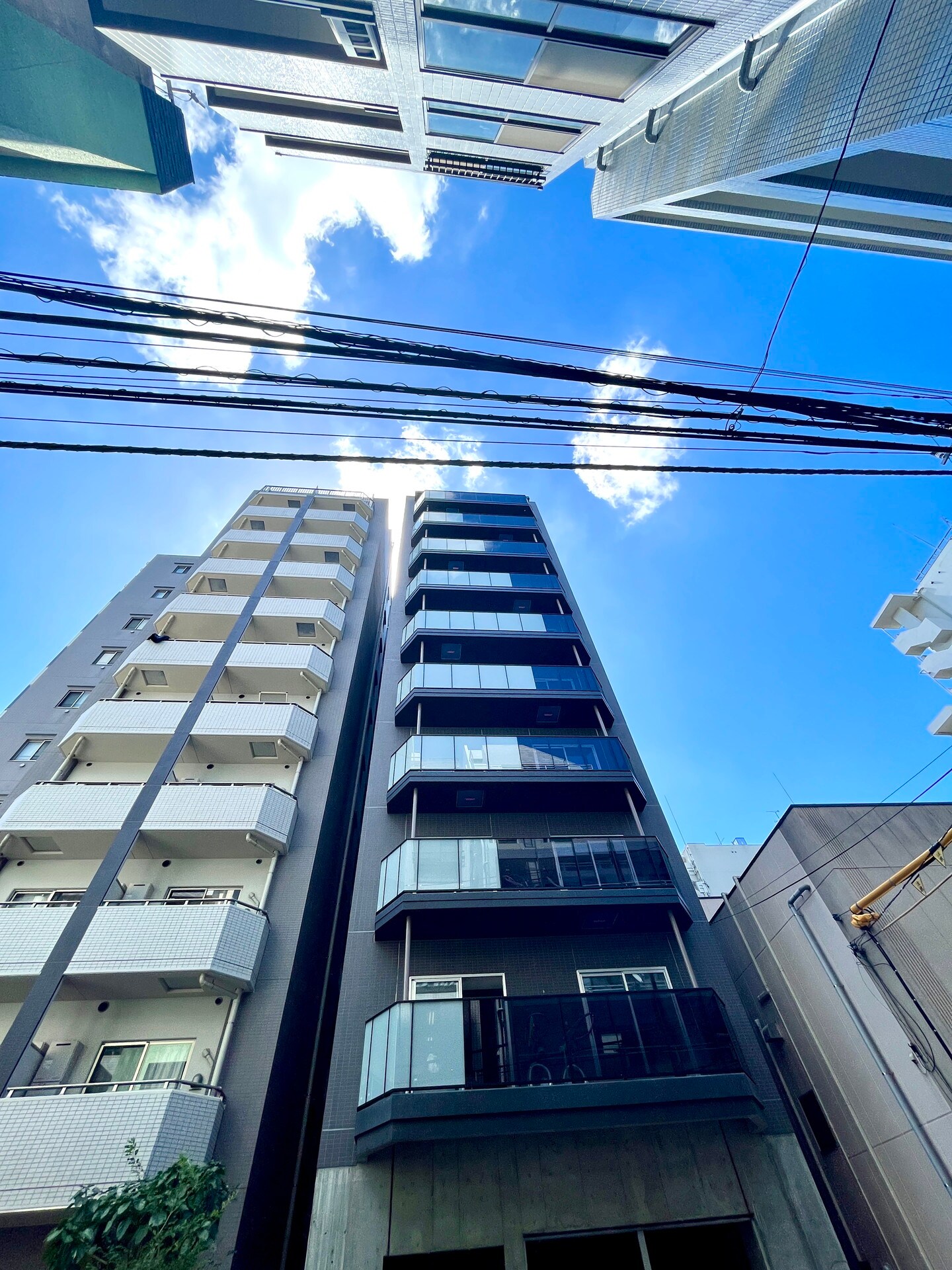 マインシュロス亀戸（MEINSCHLOSS亀戸）の物件内観写真