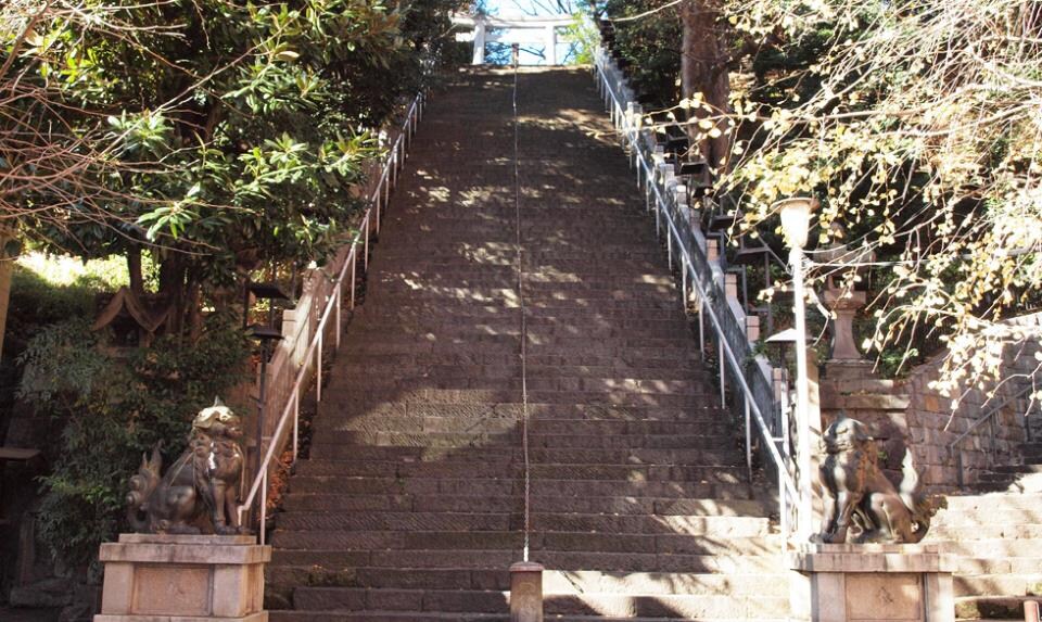 パークキューブ愛宕山タワーの物件内観写真